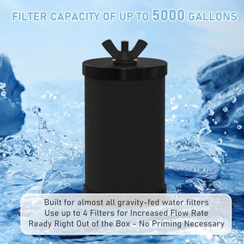 2387 Pro Water Filter Replacement (2 Count)