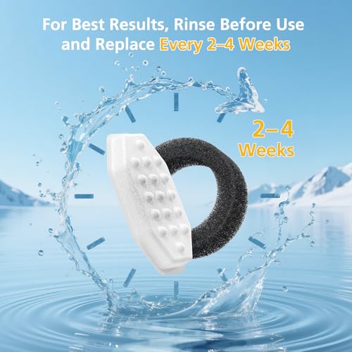 Cat Fountain Filters 50 (50 Count)