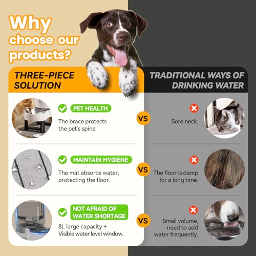 Elevated Dog Water Bowl Dispenser