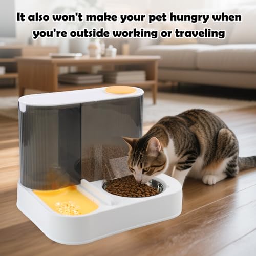 2 in 1 Automatic Cat Feeder and Water Dispenser Combo