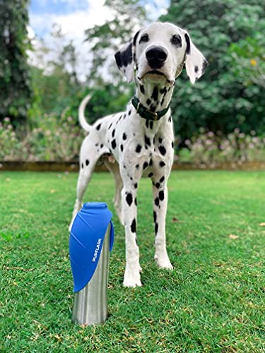 PupFlask Large Dog Water Bottle