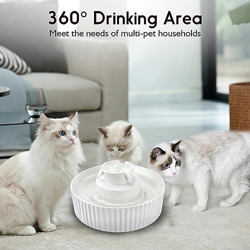 Ceramic Cat Water Fountain