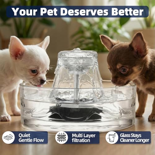 Glass Cat Water Fountain 88oz