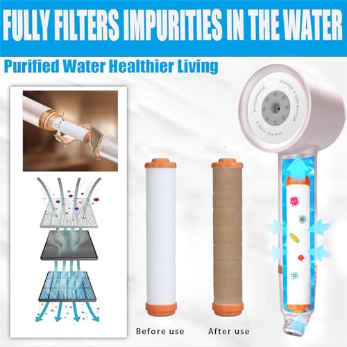 High Pressure Shower Head with Handheld