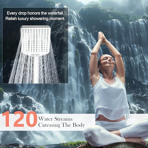 Filtered Shower Head with Handheld