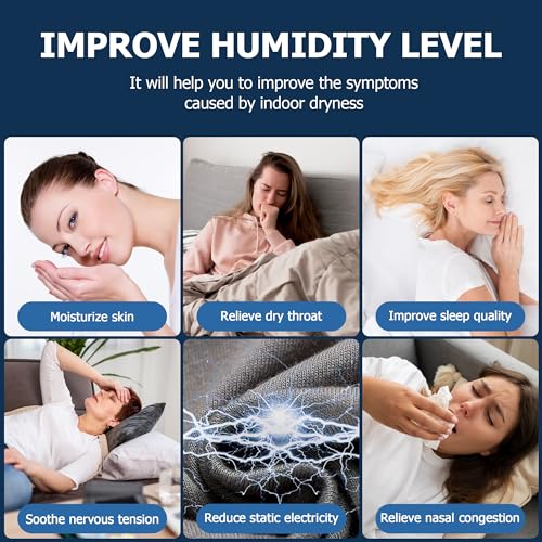 Demineralization Cartridge Filter Replacement for HoMedics Humidifiers (10 Count)