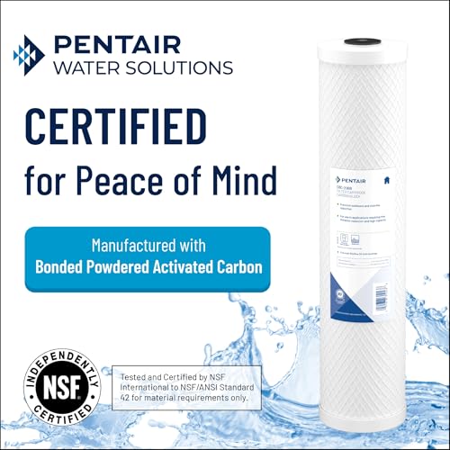 Pentair Pentek CBC