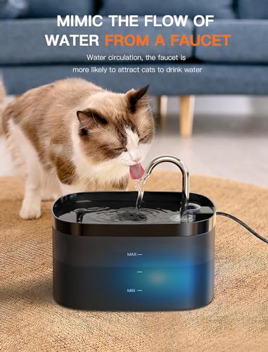 Cat Water Fountain