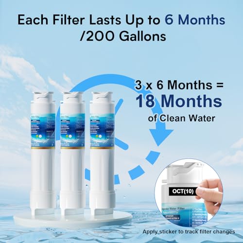 Water Filter Replacement