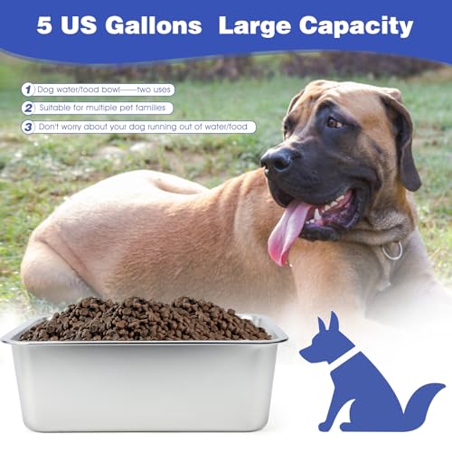 5 Gallon Large Dog Water Bowl