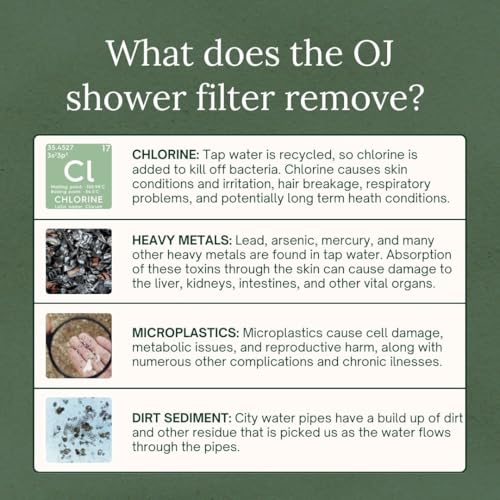 Shower Filter
