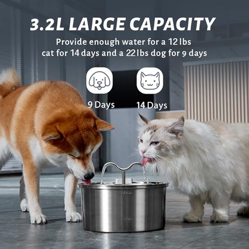 Cat Water Fountain