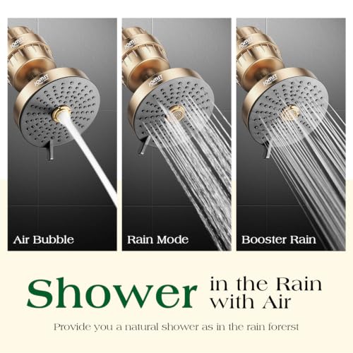 Filtered Shower Head COMBO