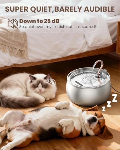 Stainless Steel Cat Water Fountain