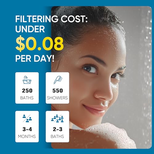 Filtered Shower Head with Handheld