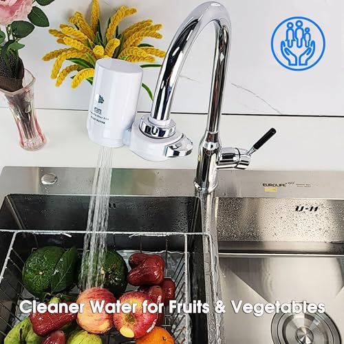 Faucet Mount Water Filtration System