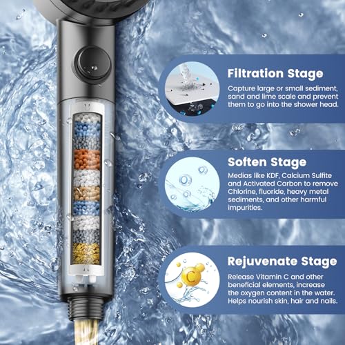 Filtered Shower Head with Handheld