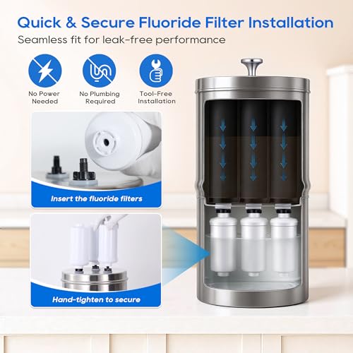 Fluoride Water Filter (3 Count)