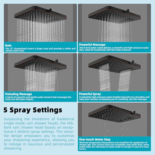 Rain Filtered Shower Head