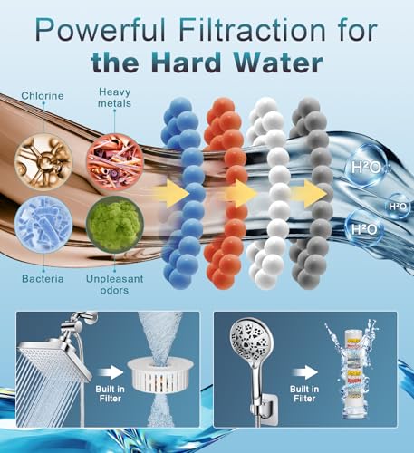 Dual Filtered Rain Shower Head Combo
