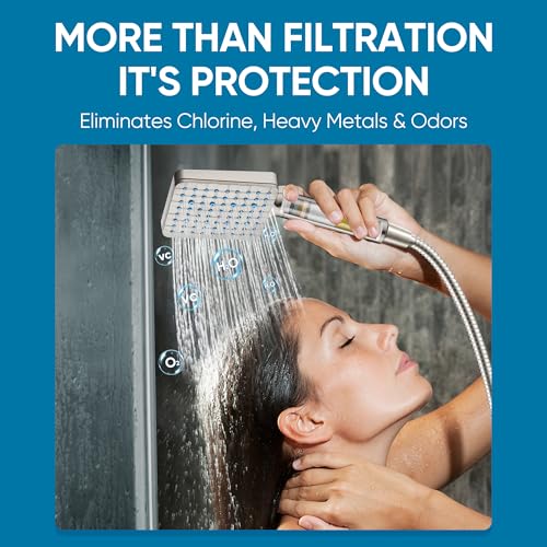 Filtered Shower Head with Handheld