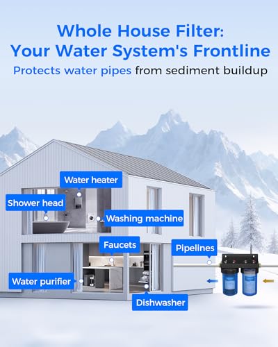 WF10BG Whole House Water Filter for WHF21 (2 Count)