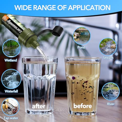Water Filter Straw (2 Count)