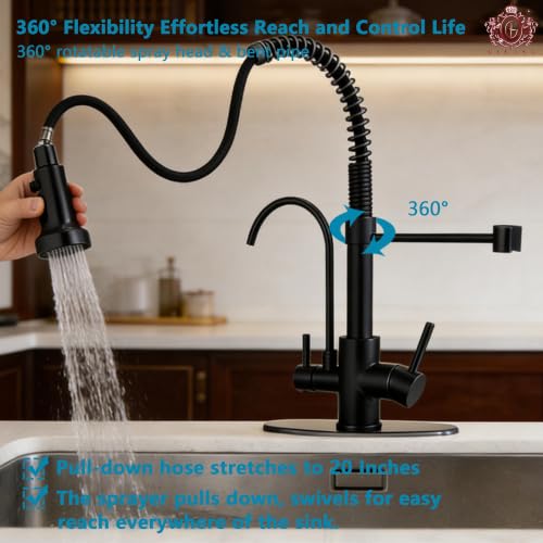 Commercial 3 in 1 Spring Black Kitchen Faucet