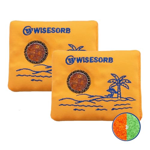 100gx2pcs Rechargeable Desiccant Packs for Storage