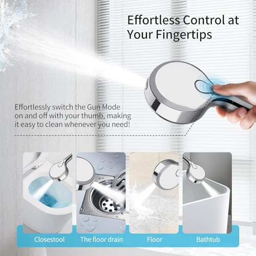 Filtered Shower Head with Handheld