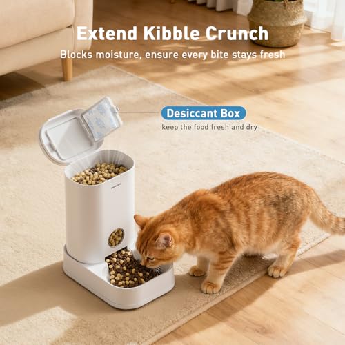 2 Pack Gravity Cat Feeder and Water Dispenser No (2015 Gram)