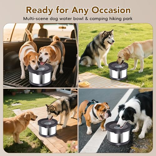 10L Dog Water Bowl No Spill Stainless Steel for Slow Drinking Black