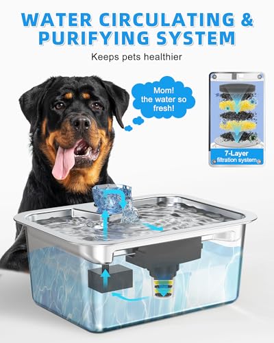 Dog Water Fountain