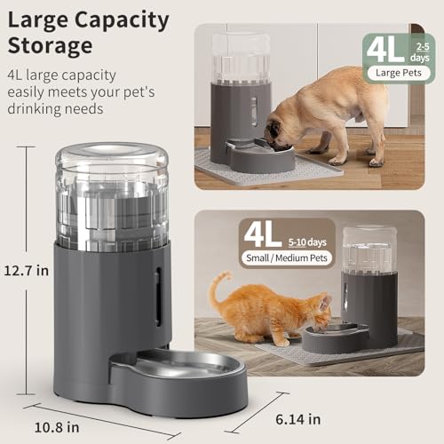 Cat Water Dispenser with Filter and Stainless Steel Bowl