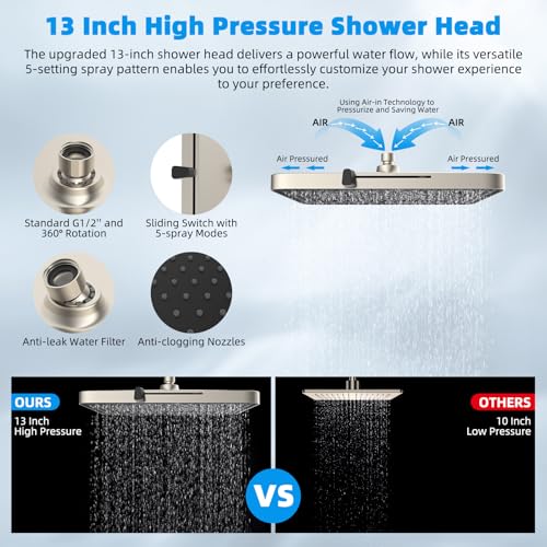13'' Filtered Shower Head with 10