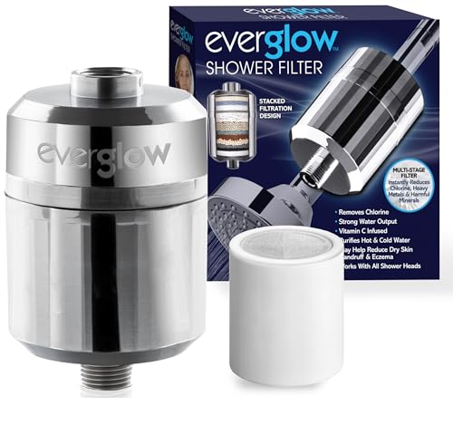 High Output Shower Filter