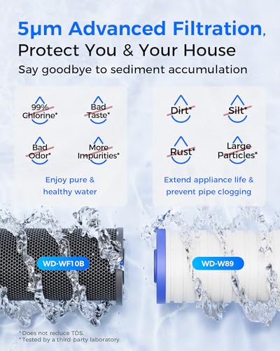 WF10BG Whole House Water Filter for WHF21 (2 Count)