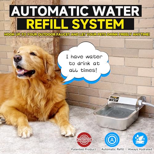 Automatic Water Dispenser for Dogs