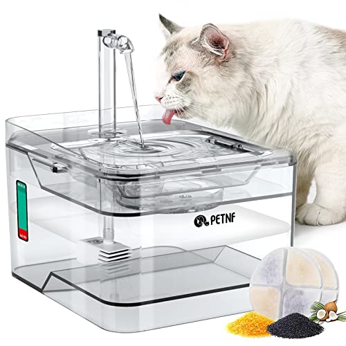 Transparent 3L