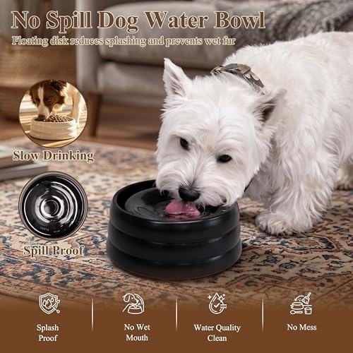 BOBO & Bowl Dog Water Bowl Food