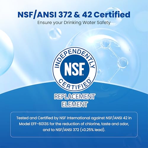 WS613B Water Filter (4 Count)