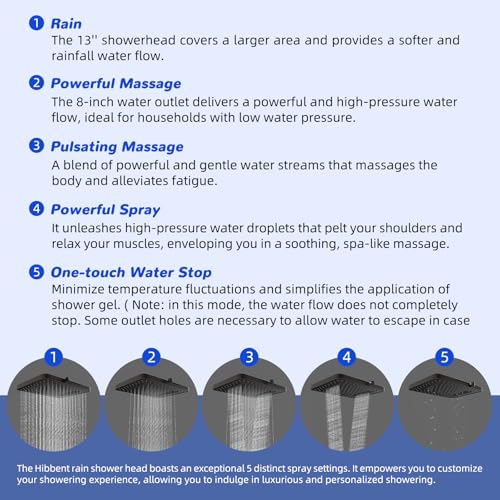 Upgraded cUPC Certified 13'' Shower Head Combo