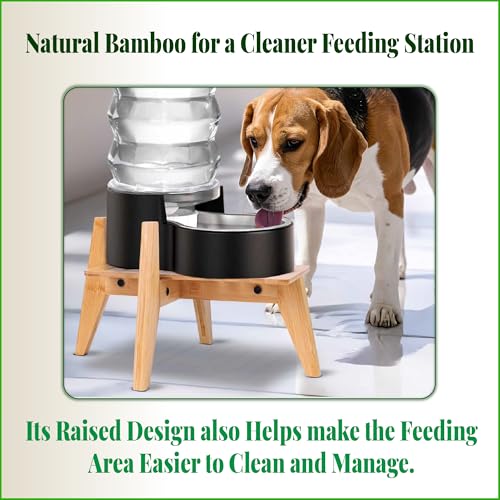 Dog Water and Food Dispenser Stand for Medium Dogs