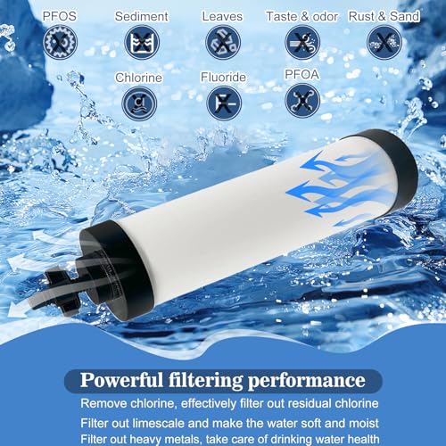 Upgraded】Virego Ceramic Filter Silver Infused (6000 Count)