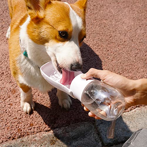 Foldable Dog Water Bottle