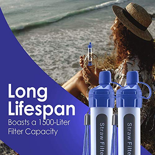 4 Pack Water Filter Straw (4 Count)