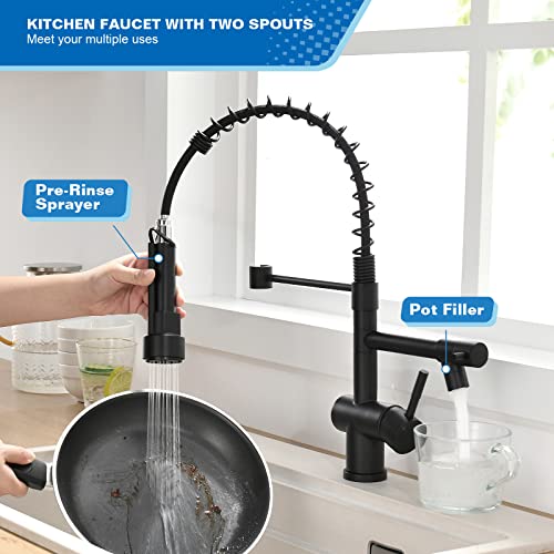 Commercial Kitchen Faucet with Pull Down Sprayer