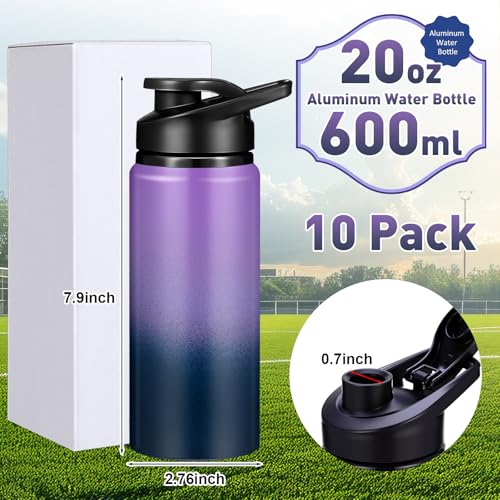 10 Pcs Aluminum Water Bottles (10 Count)