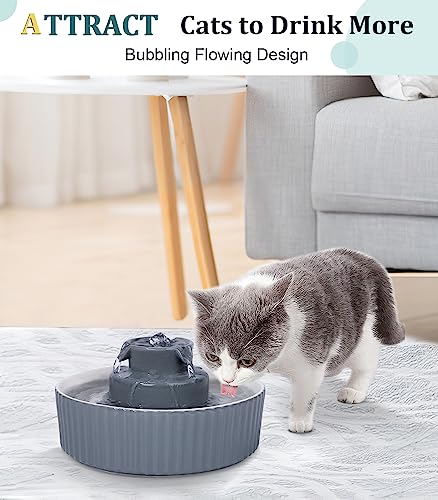 Ceramic Cat Water Fountain