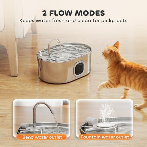Cat Water Fountain
